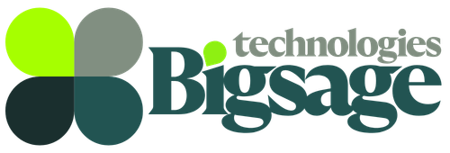 Big Sage Tech logo